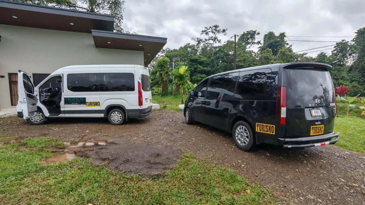 A white Maxus and a black Hyundai Staria from the Tropical Experts fleet