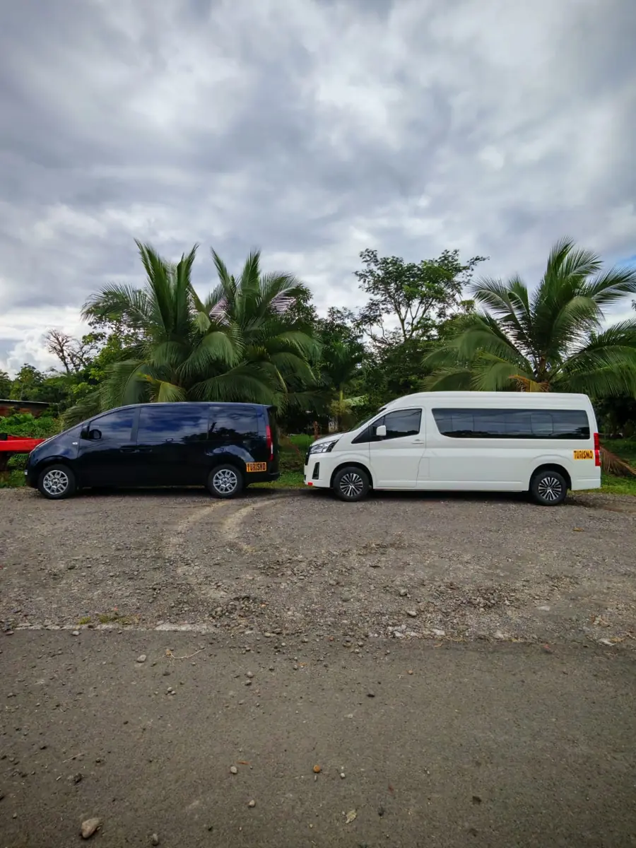 A black Hyundai Staria and a white Toyota Hiace parked among palm trees