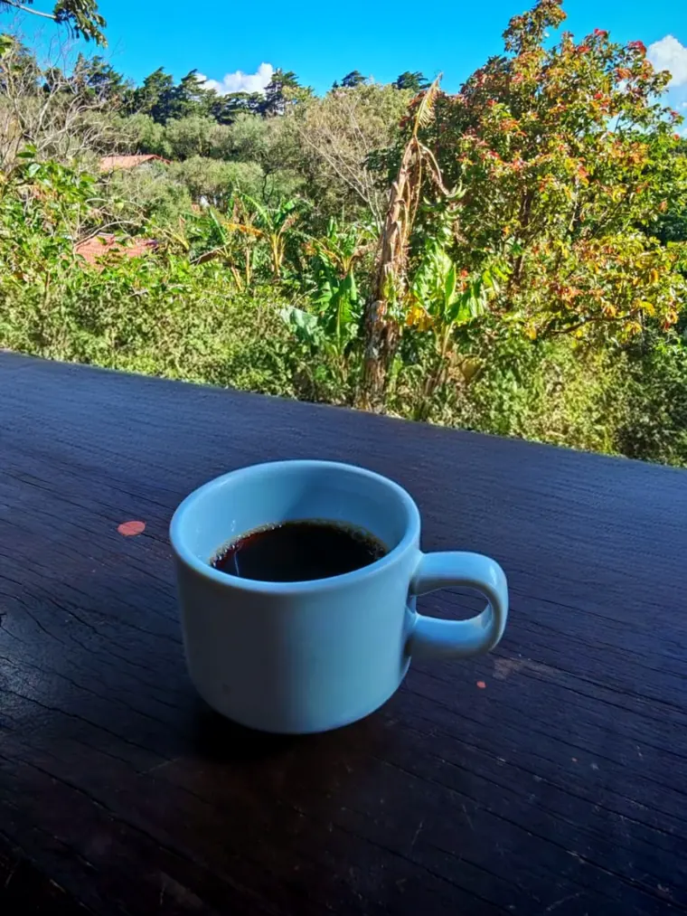 Taza de café negro con el bosque de Monteverde al fondo