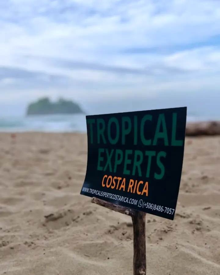 Tarjeta de Tropical Experts Costa Rica clavada en la arena de Cocles frente a la isla