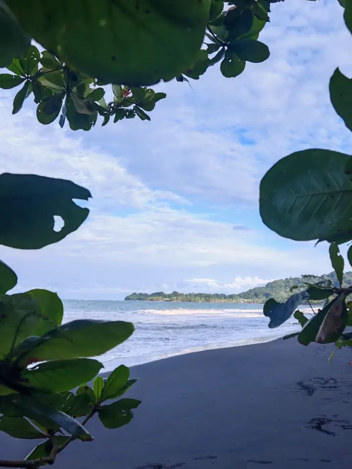 La costa de Puerto Viejo enmarcada por hojas de almendro de playa