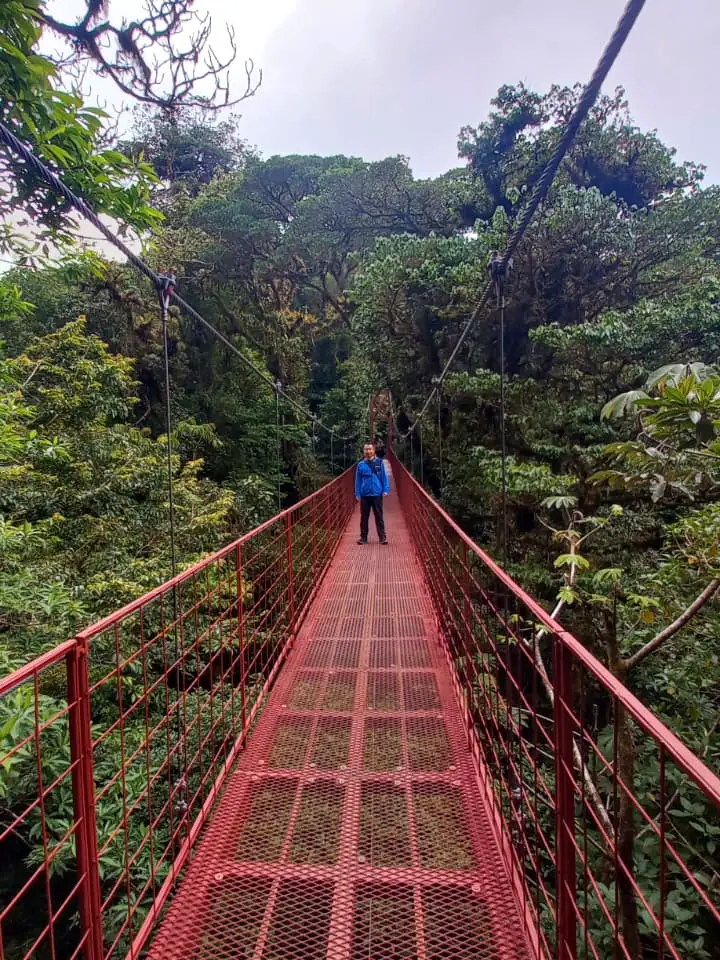 Puente colgante rojo entre el bosque nuboso de Monteverde